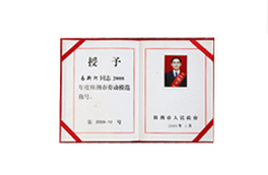 株洲市勞動模範證書