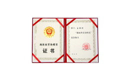 湖南省勞動模範證書