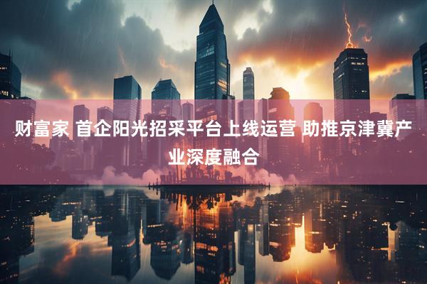 财富家 首企阳光招采平台上线运营 助推京津冀产业深度融合