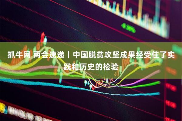 抓牛网 两会速递丨中国脱贫攻坚成果经受住了实践和历史的检验