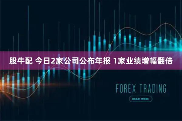 股牛配 今日2家公司公布年报 1家业绩增幅翻倍