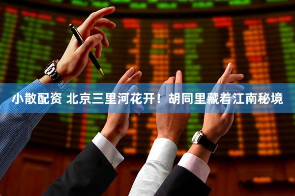 小散配资 北京三里河花开！胡同里藏着江南秘境