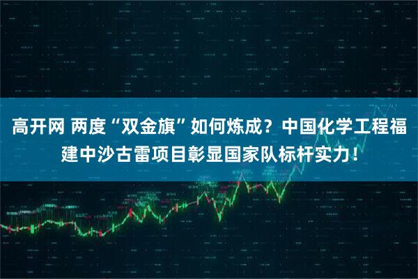 高开网 两度“双金旗”如何炼成？中国化学工程福建中沙古雷项目彰显国家队标杆实力！