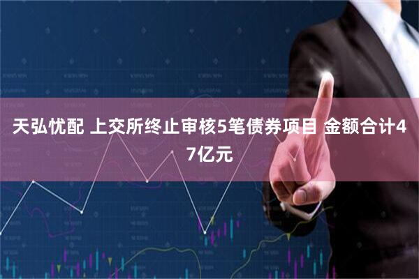 天弘忧配 上交所终止审核5笔债券项目 金额合计47亿元
