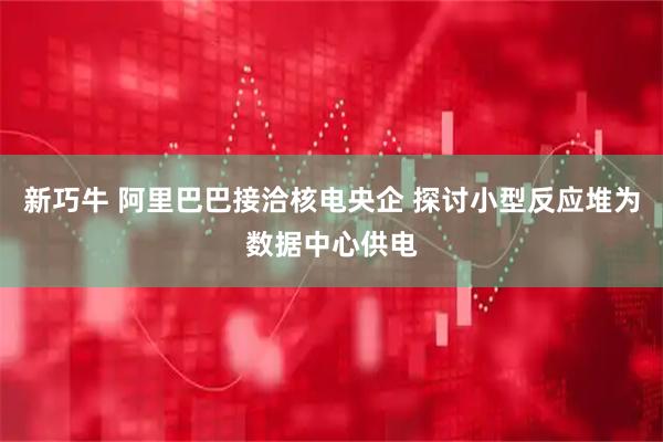 新巧牛 阿里巴巴接洽核电央企 探讨小型反应堆为数据中心供电
