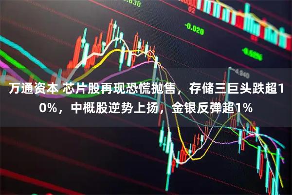 万通资本 芯片股再现恐慌抛售，存储三巨头跌超10%，中概股逆势上扬，金银反弹超1%