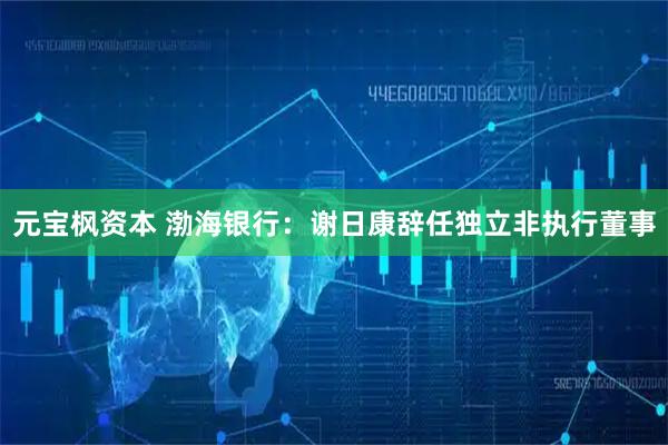 元宝枫资本 渤海银行：谢日康辞任独立非执行董事